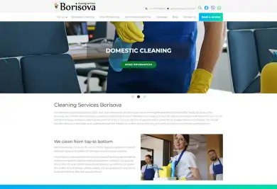 borisova-cleaningservices.co.uk